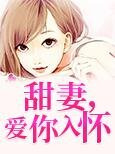 甜妻,爱你入怀