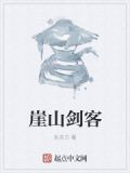 崖山剑客