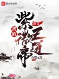 洪荒:我的紫微帝王道