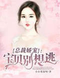 总裁娇宠:宝贝别想逃