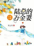 不爱不婚:陆总的万金妻
