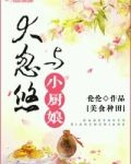 大忽悠与小厨娘