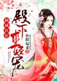 倾城狂妃:殿下,求轻宠